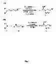 Fig. 02 - Method for the synthesis of an amino acetal