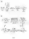 Fig. 03 - Method for the synthesis of an amino acetal