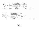 Fig. 06 - Method for the synthesis of an amino acetal