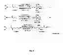 Fig. 07 - Method for the synthesis of an amino acetal