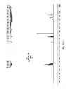 Fig. 44 - Method for the synthesis of an amino acetal
