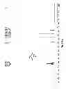Fig. 52 - Method for the synthesis of an amino acetal