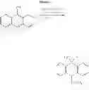 Fig. 08 - Electrocarboxylation synthesis for obtaining intermediates useful for the synthesis of SPAN derivatives