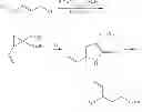 Fig. 03 - PROCESS FOR PREPARING 4-AMINO-5-HEXENOIC ACID AND INTERMEDIATES THEREOF
