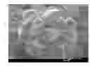 Fig. 01 - UZM-39 aluminosilicate zeolite