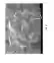 Fig. 08 - UZM-39 aluminosilicate zeolite