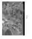 Fig. 09 - UZM-39 aluminosilicate zeolite