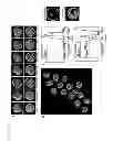Fig. 22 - Imaging and evaluating embryos, oocytes, and stem cells