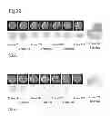 Fig. 34 - Imaging and evaluating embryos, oocytes, and stem cells