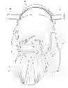 Fig. 01 - Amusement device