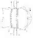 Fig. 07 - Amusement device