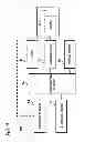 Fig. 02 - CUFF AND METHOD OF OBSERVING A TISSUE UNDER PRESSURE BY USING THE SAME