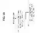 Fig. 09 - Threshold adjustment schemes for acute ischemia detection