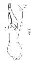 Fig. 02 - SENSOR FOR ACQUIRING MUSCLE PARAMETERS