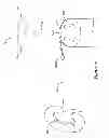 Fig. 02 - Methods for modulating cell function