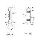 Fig. 19 - Device, system and methods for the oral delivery of therapeutic compounds