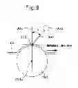 Fig. 06 - NONWOVEN FABRIC, METHOD FOR PRODUCING IT, AND ABSORBENT ARTICLE