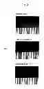Fig. 09 - NONWOVEN FABRIC, METHOD FOR PRODUCING IT, AND ABSORBENT ARTICLE