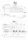 Fig. 07 - System and method to modulate phrenic nerve to prevent sleep apnea