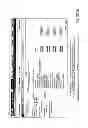 Fig. 33 - Method and Apparatus for Improved Control Over On-Line Reservations of Rental Vehicles
