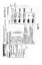 Fig. 44 - Method and Apparatus for Improved Control Over On-Line Reservations of Rental Vehicles