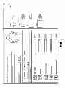 Fig. 08 - SYSTEMS AND METHODS FOR SOCIAL TAGGING AND LOCATION-BASED RESUME-RELATED AND NETWORKING APPLICATIONS