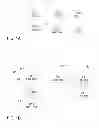 Fig. 02 - Domain level clustering