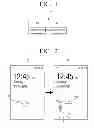 Fig. 02 - DISPLAY APPARATUS FOR RELEASING LOCK STATUS AND METHOD THEREOF