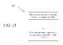 Fig. 24 - EVENT DETECTION/ANOMALY CORRELATION HEURISTICS