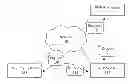 Fig. 01 - Detection of second order vulnerabilities in web services