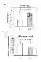 Fig. 09 - Screening method for anticancer drugs