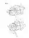Fig. 06 - Belt detachment preventing jig