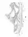 Fig. 02 - Sole and article of footwear having a pod assembly