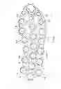 Fig. 09 - Sole and article of footwear having a pod assembly