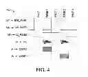 Fig. 04 - Integrated circuit and apparatus for detecting oscillations