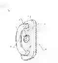 Fig. 02 - Combination Grill Press and Thermometer