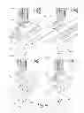 Fig. 07 - Bottle feeding and processing system