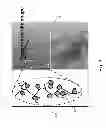 Fig. 03 - ORGANIC TEMPLATED NANOMETAL OXYHYDROXIDE