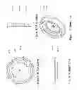 Fig. 10 - Innovative ratcheting system