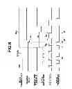 Fig. 07 - Imaging control apparatus, radiographic imaging system, and imaging control method
