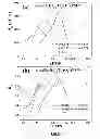 Fig. 05 - Pb(Hf,Ti)Obased high performance polycrystalline piezoelectric materials