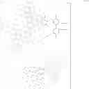 Fig. 43 - Metal complex and device using the metal complex