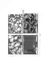 Fig. 05 - Roofing granules comprising base particles that are sintered and have an initial reflectance of at least 0.25