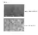 Fig. 04 - Method of manufacturing silicon carbide structure