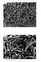 Fig. 01 - Conducting polymer materials based on carbonyl-functionalized polysilicones and methods for their preparation
