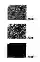 Fig. 06 - Conducting polymer materials based on carbonyl-functionalized polysilicones and methods for their preparation