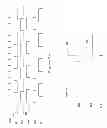 Fig. 04 - Apparatus for monitoring operating conditions of a logic circuit