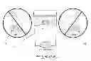 Fig. 01 - System for repelling a pet from a predetermined area