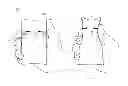 Fig. 01 - Bending threshold and release for a flexible display device