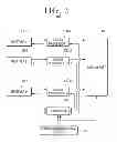 Fig. 06 - Display apparatus, and remote control apparatus for controlling the same and controlling methods thereof